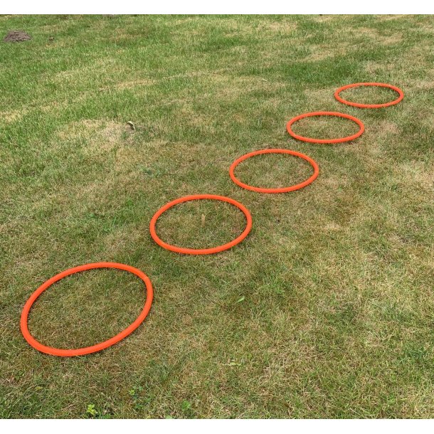 Agility trningsringe 5 stk - FRI FRAGT - HURTIG LEVERING