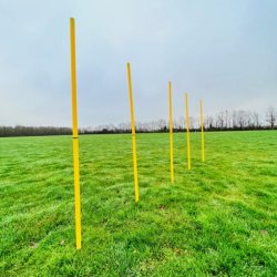 Agility Stnger m. taske - HURTIG LEVERING - 5 stnger i handy bretaske